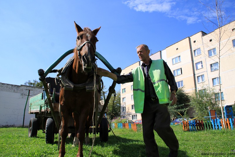 В гродненском ЖЭС-6 сотруднику платят зарплату овсом, сеном и конфетами В гродненском ЖЭС-6 сотруднику платят зарплату овсом, сеном и конфетами