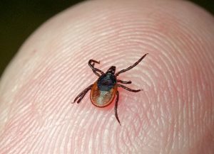 На Дитве в Лидском районе зафиксировали превышение концентраций. Виновных привлекли На Дитве в Лидском районе зафиксировали превышение концентраций. Виновных привлекли