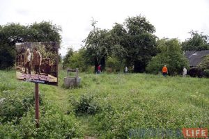 В Беларуси разработают экскурсию по храмам и кладбищам Вороновщины