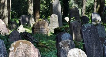 Туристы месяц не могут попасть на еврейское кладбище в Гродно. Город уволил охранников и поставил замок
