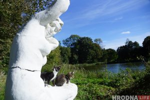 “Вернем королеву в Гродно!” Гродненцы создали петицию, чтобы напомнить о Боне Сфорца