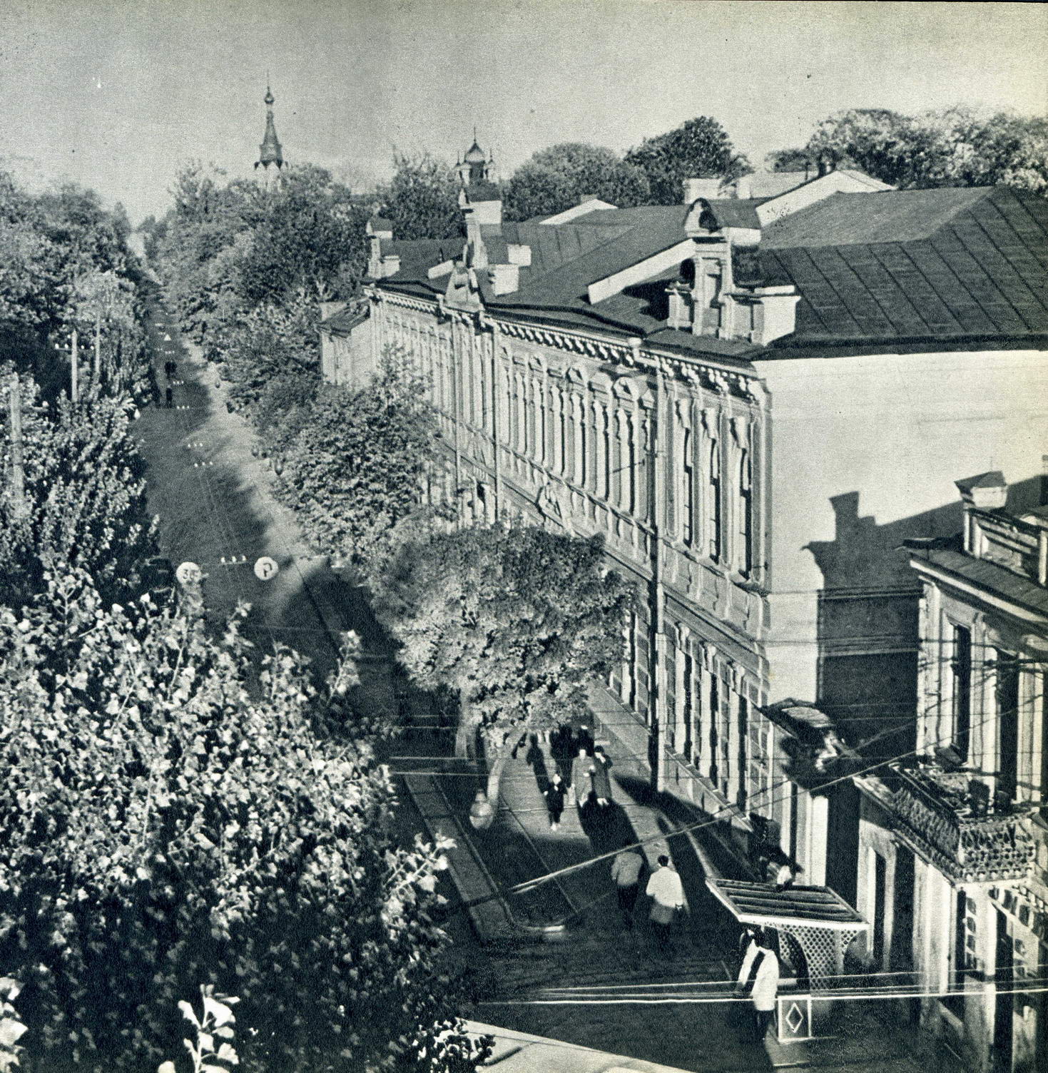 Деревья на улице Ожешко. 1966 г.