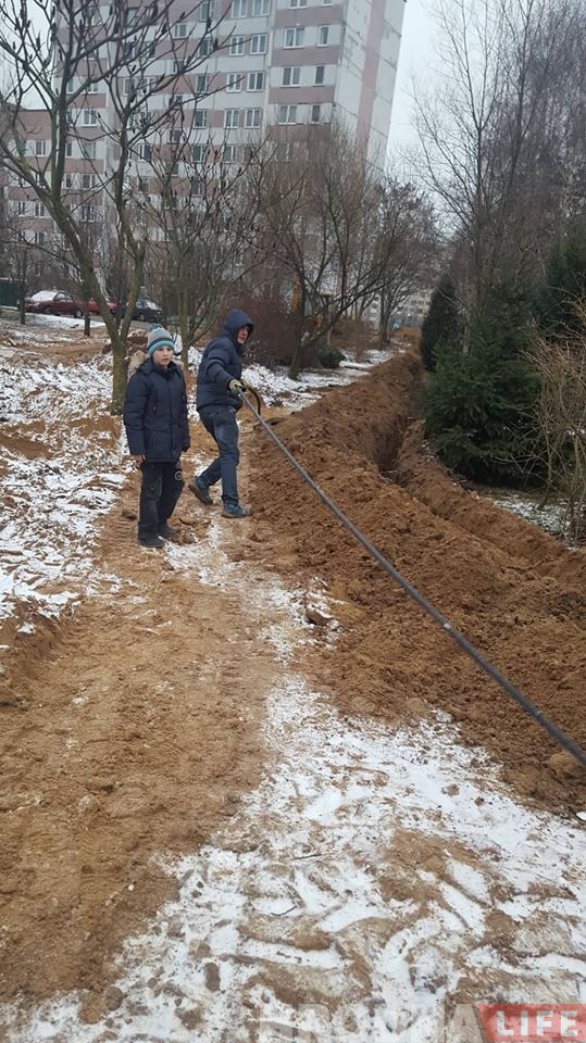 В образцовом гродненском дворе бульдозером вскопали клумбы и поломали деревья В образцовом гродненском дворе бульдозером вскопали клумбы и поломали деревья