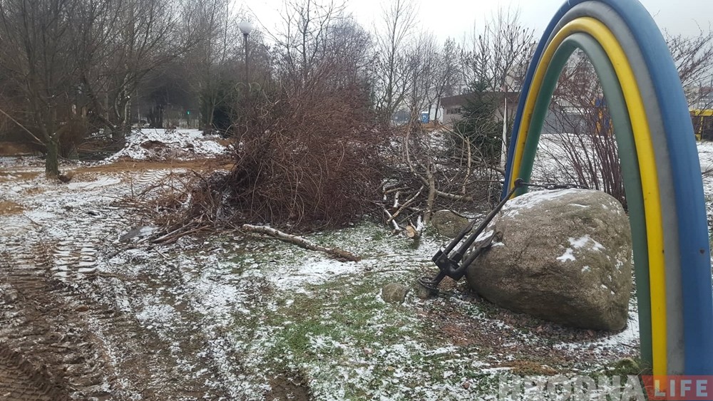 В образцовом гродненском дворе бульдозером вскопали клумбы и поломали деревья В образцовом гродненском дворе бульдозером вскопали клумбы и поломали деревья