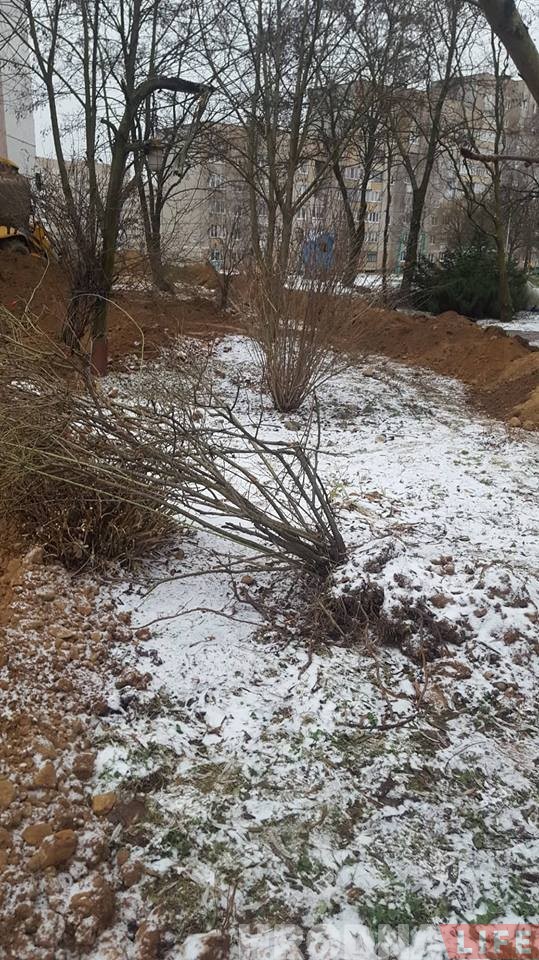 В образцовом гродненском дворе бульдозером вскопали клумбы и поломали деревья В образцовом гродненском дворе бульдозером вскопали клумбы и поломали деревья