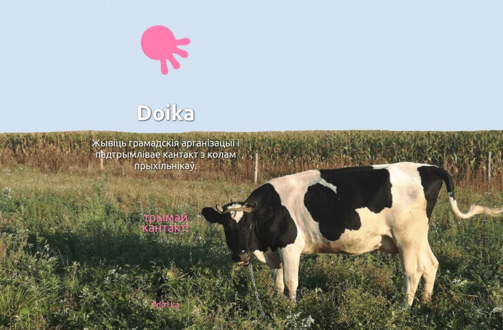 Волонтеры программы Doika расскажут гродненским активистам о новых возможностях краудфандинга