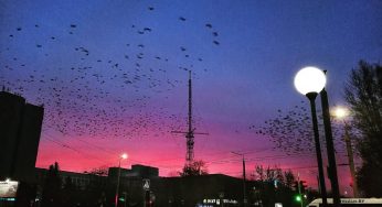 Гродненцы делятся в соцсетях фотографиями «огненного» рассвета