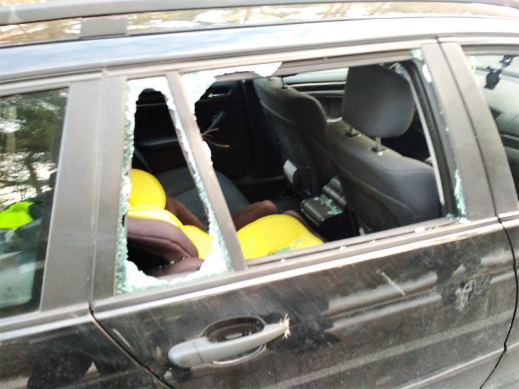 Под Гродно лось выбежал на дорогу, врезался в автомобиль и скрылся с места проишествия