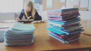 Ставка на фермеров или поддержка колхозов на плаву? Сравнили сельское хозяйство в Польше и Беларуси