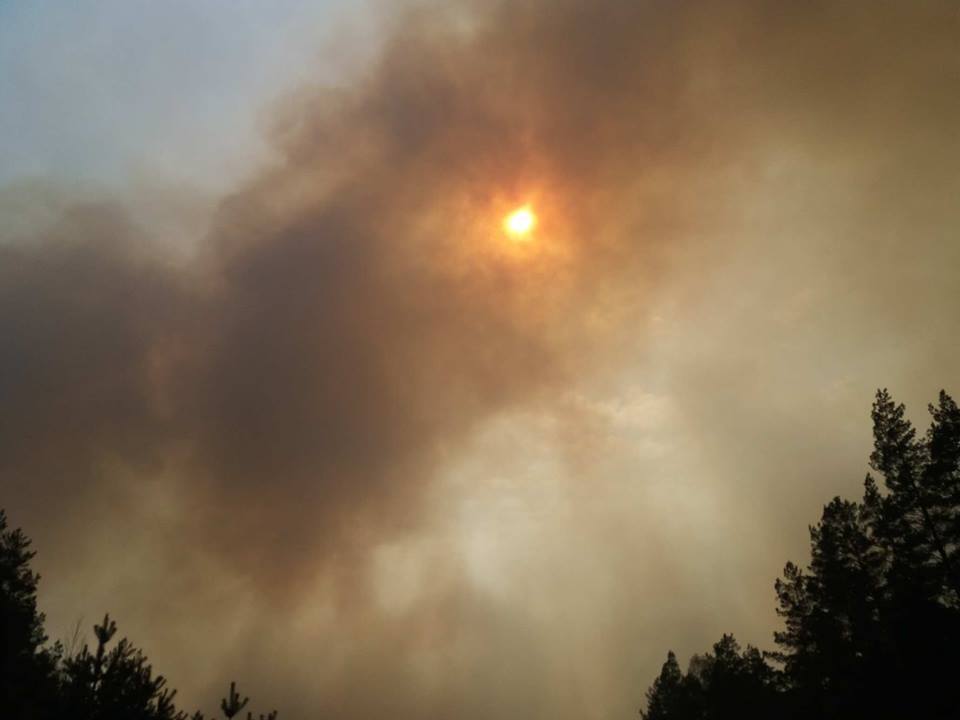 Куды сыходзіць клімат? Топ зменаў у Беларусі і свеце, якія ўжо адбыліся