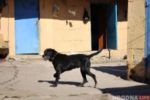 В роддоме Гродно проверят бомбоубежище