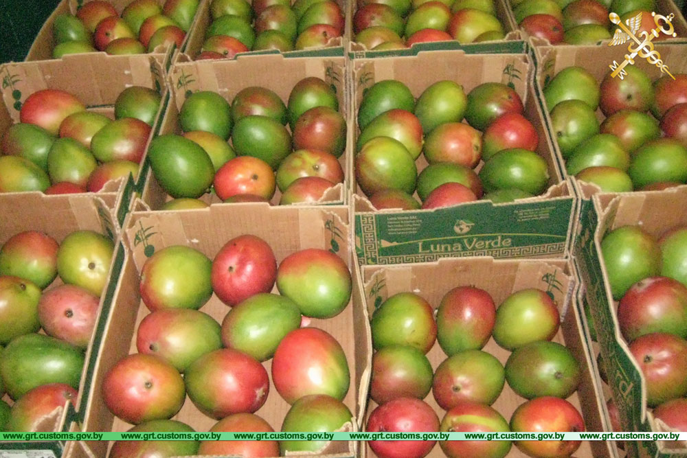 Водитель уничтожал документы на границе, чтобы никто не узнал, сколько стоит его папайя