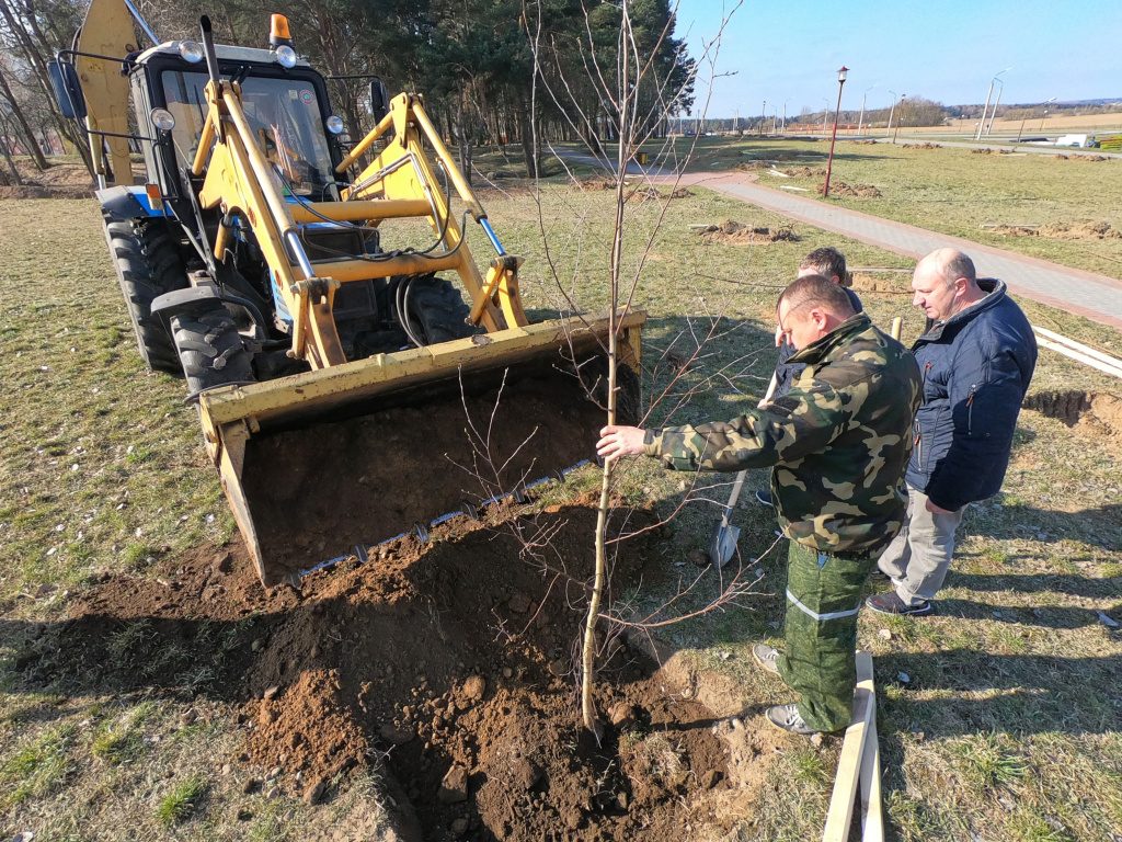 В Ольшанке появится парк! Его заложили к 75-летию области