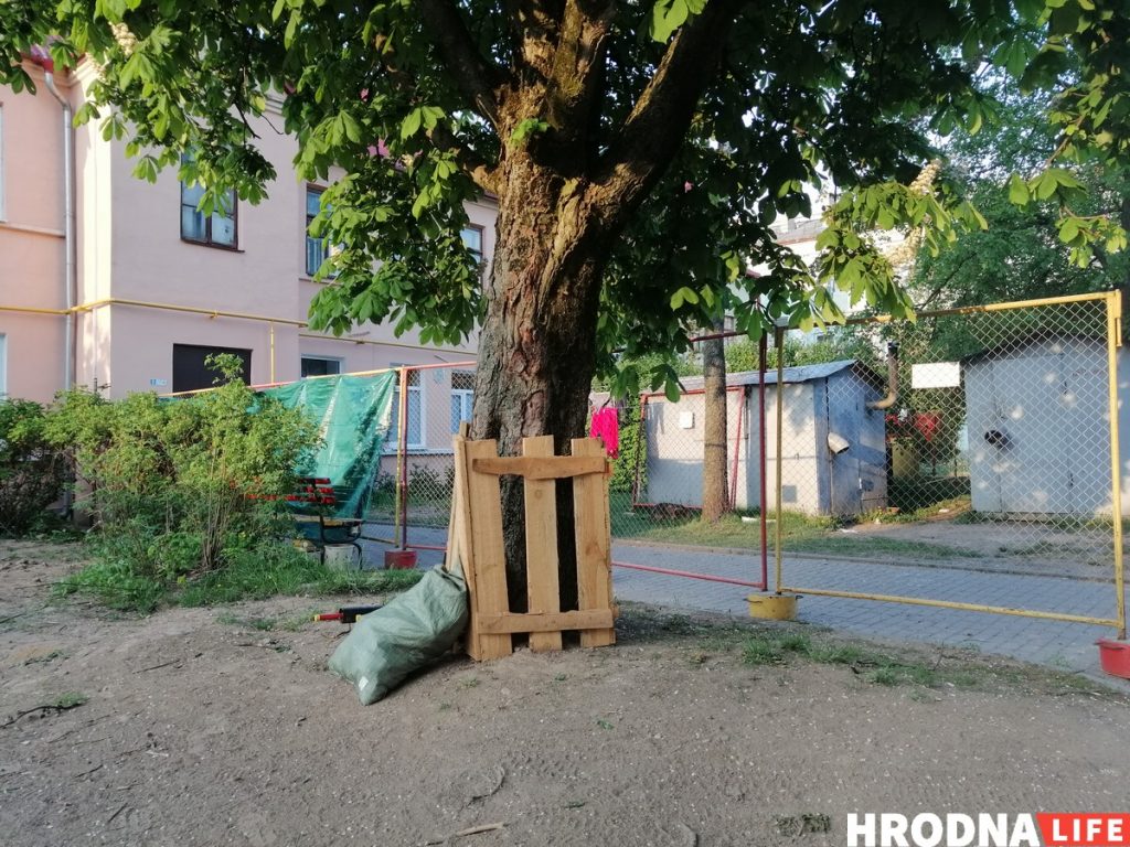 Видеофакт: Ломали вишню экскаватором, так как не было пил