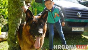 В Гродно выбирают имя для зубренка, который родился в День Независимости