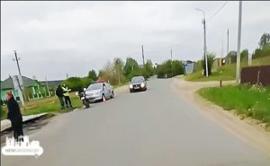 Мотоциклист в Гродно сбил косулю