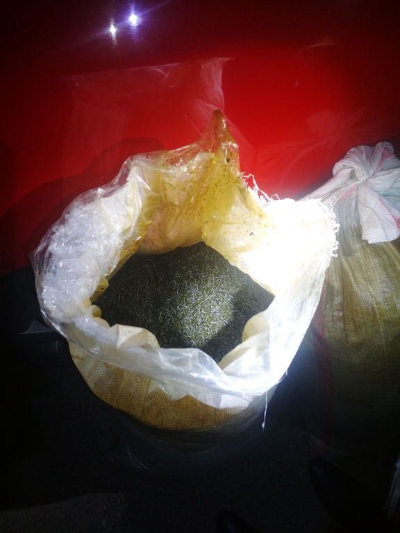 Самая крупная партия насвая за последние пять лет изъята в Гродно Самая крупная партия насвая за последние пять лет изъята в Гродно