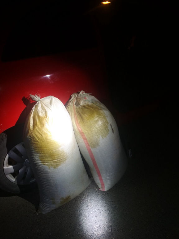 Самая крупная партия насвая за последние пять лет изъята в Гродно Самая крупная партия насвая за последние пять лет изъята в Гродно