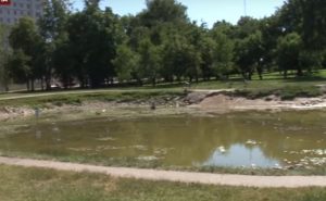 В Гродно засыхают пруды и сохнут деревья. ЖКХ: закачка воды нецелесообразна