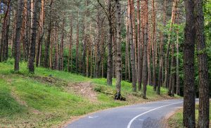 Когда и где в Гродно будут повторно обрабатывать зоны отдыха против клещей? Когда и где в Гродно будут повторно обрабатывать зоны отдыха против клещей?