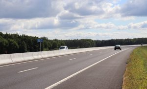 «С начала года здесь погибло шесть косуль». На М6 сбили дикое животное там, где закончилась сетка