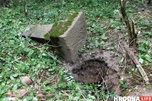 Подороск (1) Подороск (1)