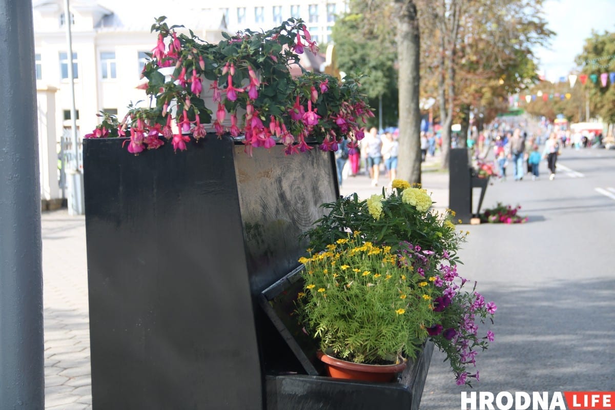 Тату на банане и свинья под горисполкомом - чем удивлял День города в Гродно. Фоторепортаж Тату на банане и свинья под горисполкомом - чем удивлял День города в Гродно. Фоторепортаж