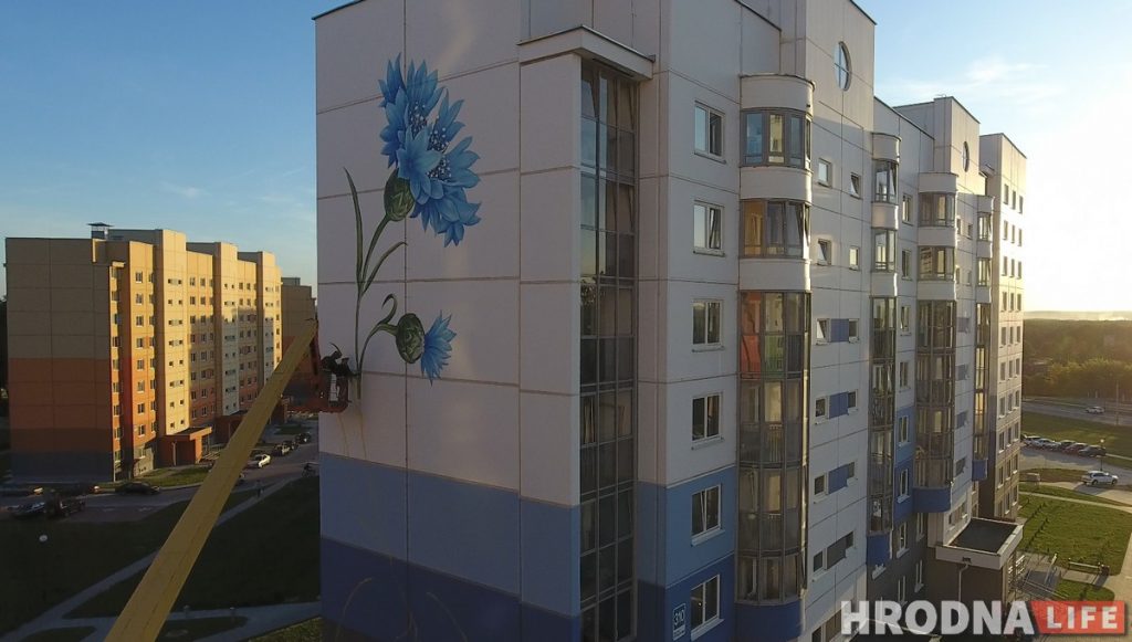 Подсолнух, василек и мак: В Гродно «расцветают» многоэтажки