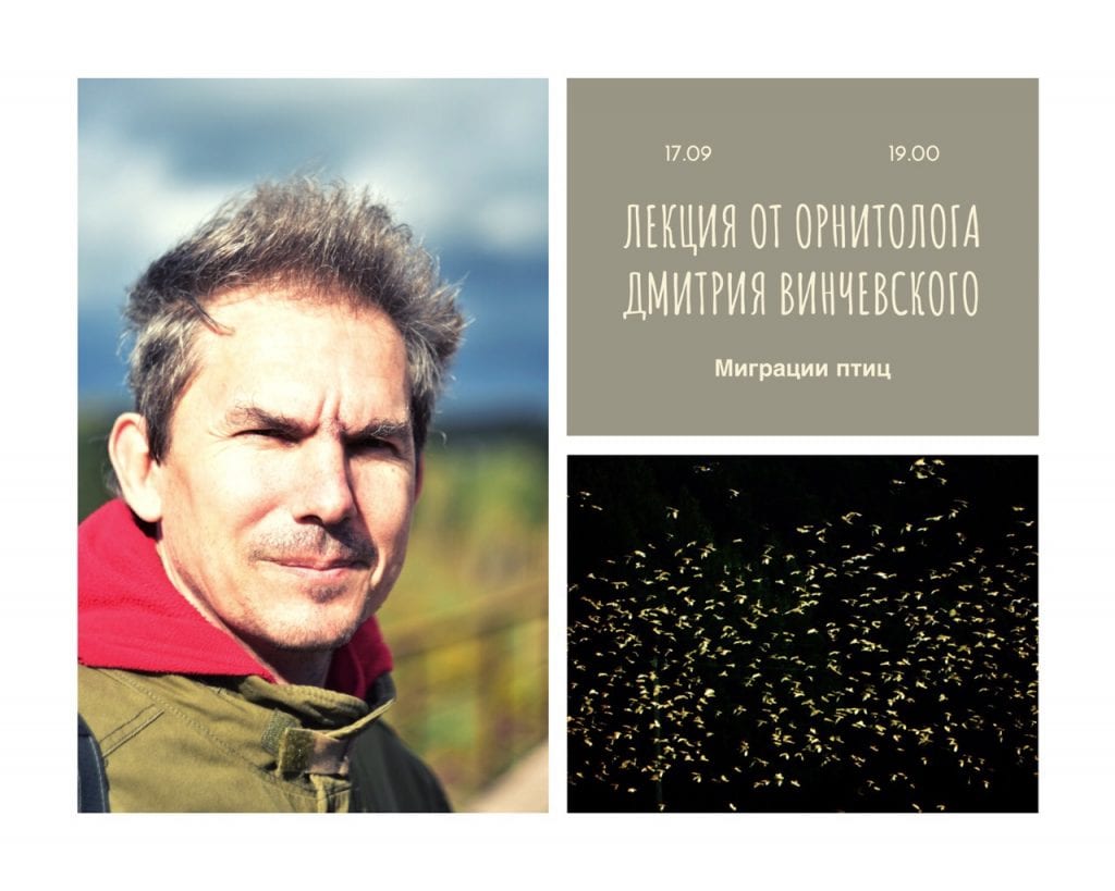 Почему улетают птицы и как возвращаются? Орнитолог проведет лекцию-презентацию в Гродно