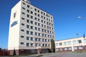 Мужчина продал 250 щенков под видом немецкой овчарки. Говорил, что продает их силовым структурам