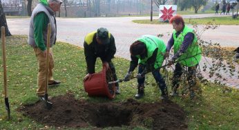 «Отдал должок Наталье Канюк». Ботанический сад в парке Жилибера пополнился новыми деревьями