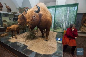 Замок, который уже не вернется. 10 гродненских музейных витрин, которые нельзя забыть Замок, который уже никогда не вернется. Топ-10 гродненских витрин, которые нельзя забыть