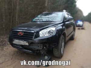 Под Гродно дикий кабан выбежал под автомобиль и стал причиной аварии Под Гродно дикий кабан выбежал под автомобиль и стал причиной аварии