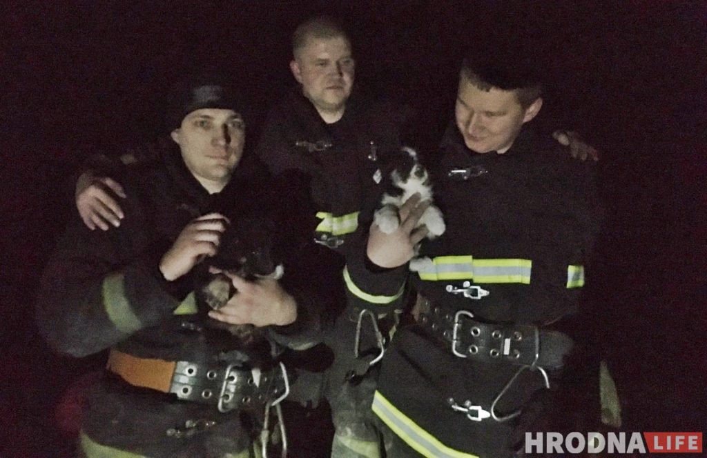 Четыре часа спасатели помогали гродненцам спасти щенков, застрявших в бетонной плите