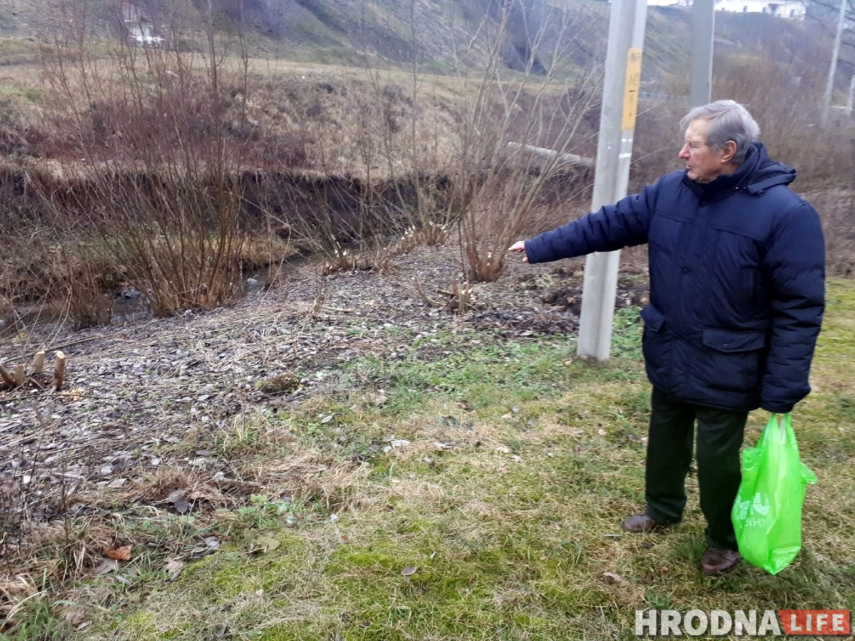 В центре Гродно появились бобры. На них стали охотиться В центре Гродно появились бобры. На них стали охотиться