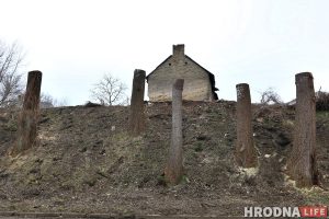 Участок с видом на замки: зачем на Левонабережной спилили старые тополя? Участок с видом на замки: зачем на Левонабережной спилили старые тополя?