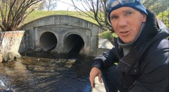 Виртуальная прогулка по Гродно: Городничанка и ее два лица