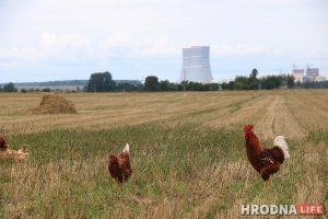 "Понадобилась коррекция". В Министерстве энергетики прокомментировали инцидент на БелАЭС "Понадобилась коррекция". В Министерстве энергетики прокомментировали инцидент на БелАЭС