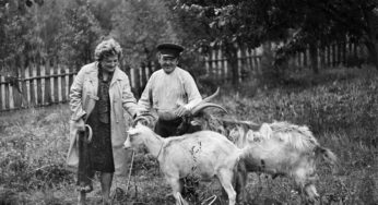 Женский роман времен пандемии. Серия 5. Дед Лешек и его козы