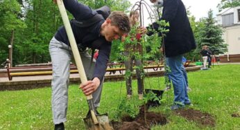 В Гродно убирать мусор после зимы будут три месяца. Власти просят горожан о помощи