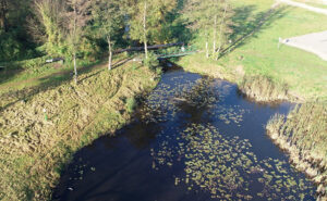 Возле Берестовицы погибла рыба из-за выброса химических веществ. Возбудили уголовное дело