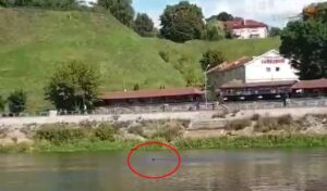 «Я просто был в центре». За что в центре Гродно задержали велосипедиста «Я просто был в центре». За что в центре Гродно задержали велосипедиста