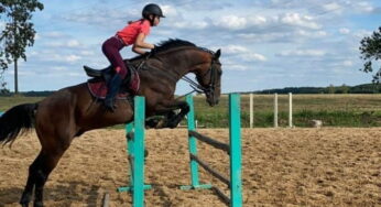Выдаткі выраслі ў некалькі разоў: як даюць сабе рады гродзенцы пасля закрыцця конна-спартыўных школ