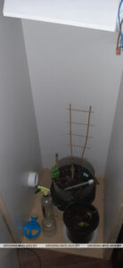 Гродненец выращивал коноплю в шкафу Гродненец выращивал коноплю в шкафу