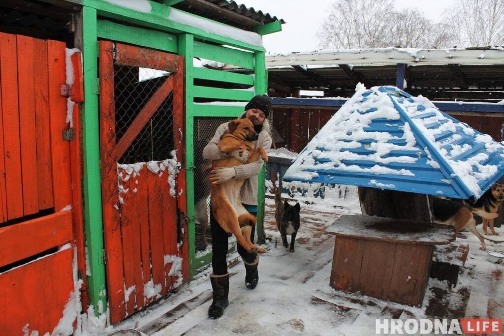 Спасли из сугробов: гродненцы помогли волонтерам расчистить заваленный снегом “домик для собак”