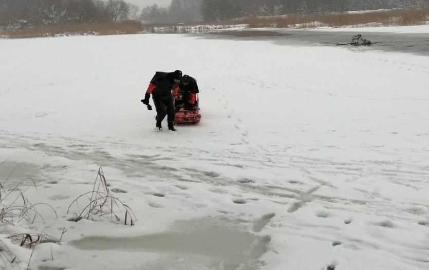 На “Юбилейном” собака гналась за зайцем и провалилась под лед: ее спасли водолазы
