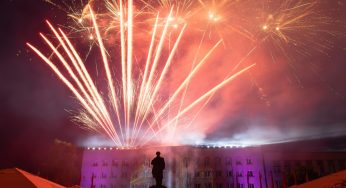 Почему в Новый год лучше воздержаться от запуска фейерверков, чтобы не навредить животным и окружающей среде