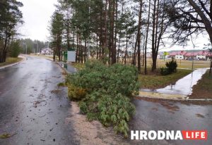 Оставаться дома пока погода не успокоится. Как организовать безопасность себя и близким во время непогоды Оставаться дома пока погода не успокоится. Как организовать безопасность себя и близким во время непогоды