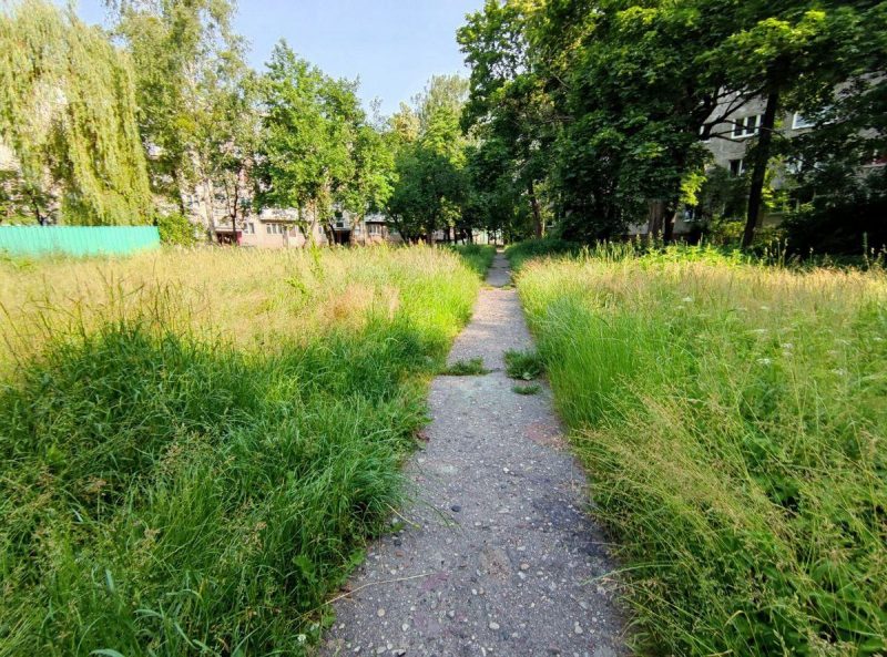 высокая трава, покос травы в Гродно, график покоса