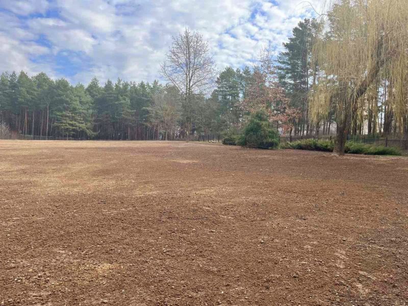 Территории на месте профилактория "Гродно Азот"